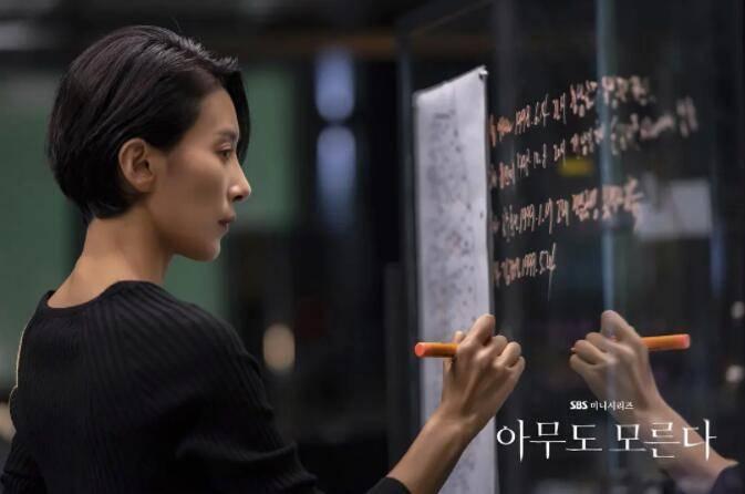 韩剧无人知晓分集剧情介绍(1-16集)大结局_电视剧