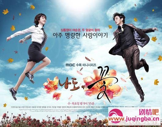 我也是花剧情介绍1-15集大结局