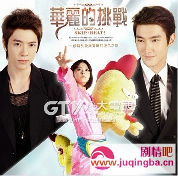 华丽的挑战剧情介绍1-15集