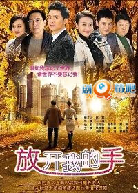 放开我的手分集剧情介绍(1-32全集)大结局