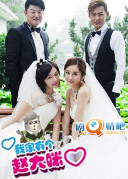 我家有个赵大咪分集剧情介绍(1-35集)大结局