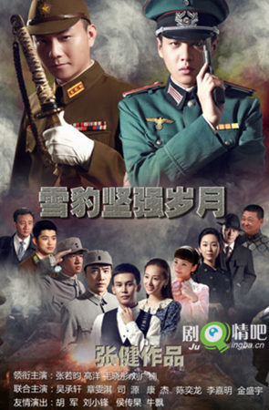 雪豹坚强岁月分集剧情介绍(1-46集)大结局