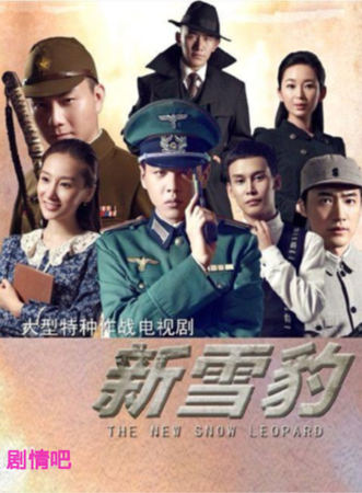 新雪豹分集剧情介绍(1-46集)大结局