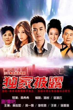 独家披露分集剧情介绍(1-31集)大结局