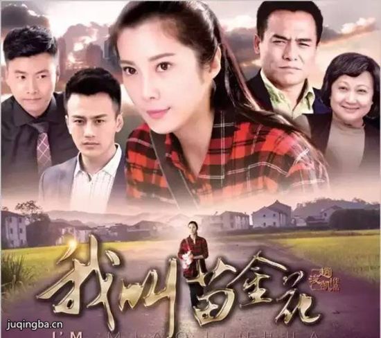 我叫苗金花分集剧情介绍(1-50集)大结局