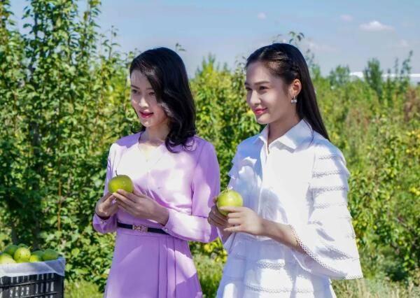 һ���������ٷּ��������(1-35��)����_���Ӿ�