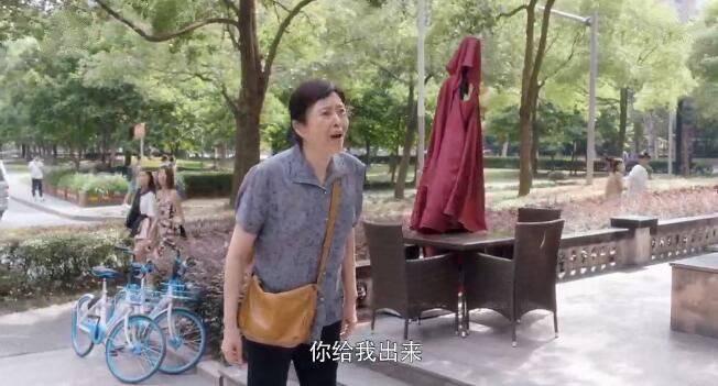 安家分集剧情介绍(1-53集)大结局_电视剧