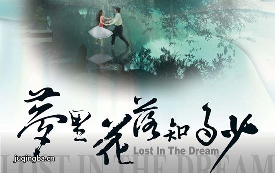 梦里花落知多少分集剧情介绍(1-20集)大结局