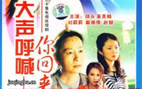 大声呼喊你回来分集剧情介绍(1-30集)大结局