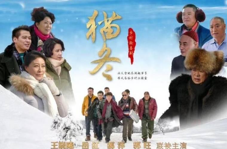 猫冬分集剧情介绍(1-35集)大结局_电视剧