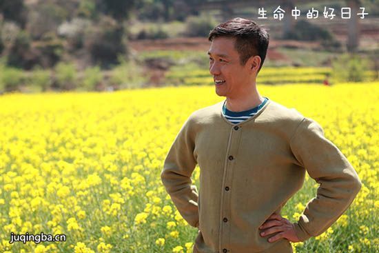 生命中的好日子分集剧情介绍(1-40集)大结局