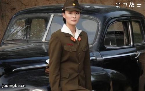 野狼行动组分集剧情介绍(1-34集)大结局