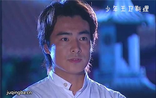 少年王卫斯理分集剧情介绍(1-40集)大结局