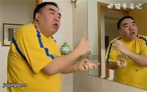 肥猫寻亲记分集剧情介绍(1-30集)大结局