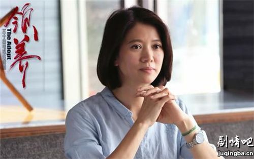 电视剧领养分集剧情介绍(1-44集)大结局