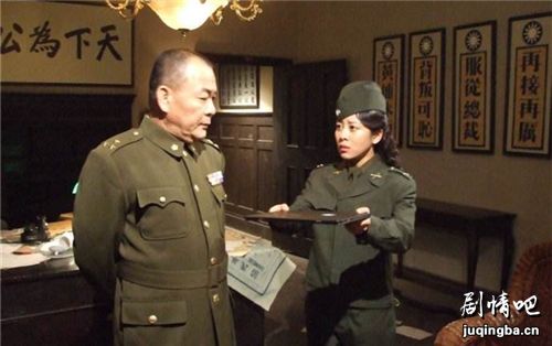 解放大西南分集剧情介绍(1-32集)大结局