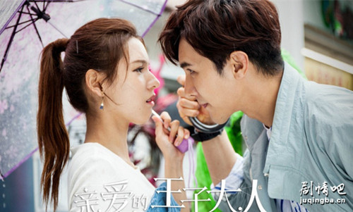 亲爱的王子大人分集剧情介绍(1-19集)大结局