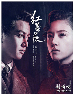 红蔷薇分集剧情介绍(1-48集)大结局