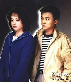 天网孽情分集剧情介绍(1-24集)大结局