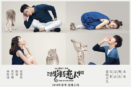 动物系恋人啊分集剧情介绍(1-20集)大结局