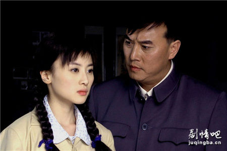 如此多娇分集剧情介绍(1-29集)大结局