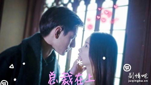 总裁在上我在下分集剧情介绍(1-30集)大结局