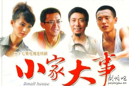 小家大事分集剧情介绍(1-27集)大结局