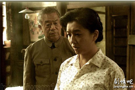 誓言永恒分集剧情介绍(1-28集)大结局