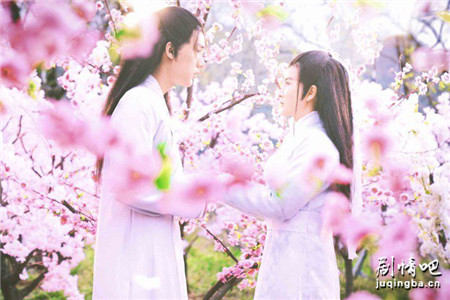 假凤虚凰分集剧情介绍(1-12集)大结局