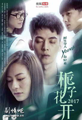 栀子花开2017分集剧情介绍(1-16集)大结局