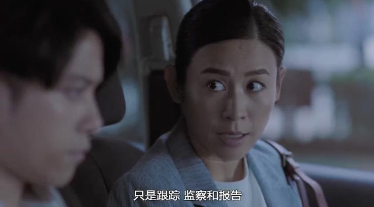 陀枪师姐2021分集剧情介绍(1-40集)大结局_电视剧