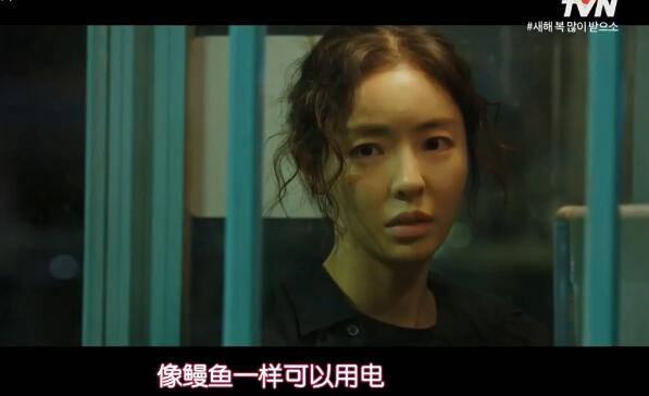 LUCA:起源分集剧情介绍(1-12集)大结局_电视剧