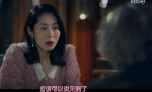 大发不动产分集剧情介绍(1-16集)大结局_电视剧