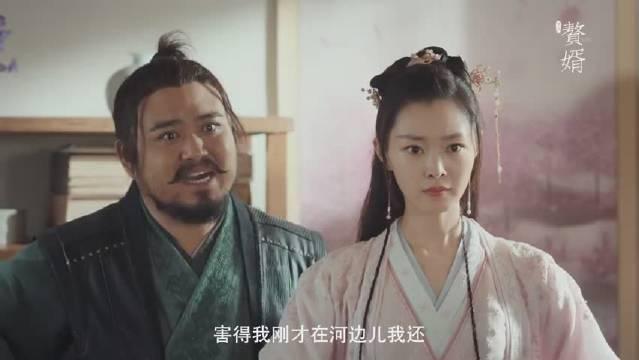 赘婿分集剧情介绍(1-36集)大结局_电视剧