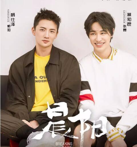 晨阳分集剧情介绍(1-24集)大结局_电视剧