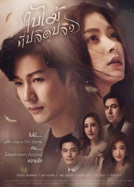 ̩�紵�����Ҷ�ּ��������(1-21��)����_���Ӿ�