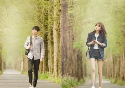 与晨同光分集剧情介绍(1-48集)大结局_电视剧