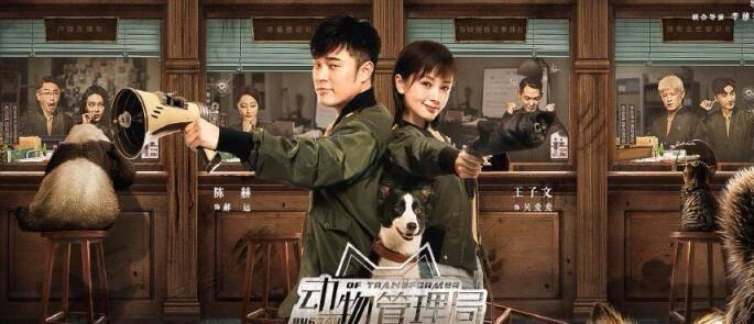 动物管理局分集剧情介绍(1-24集)大结局_电视剧