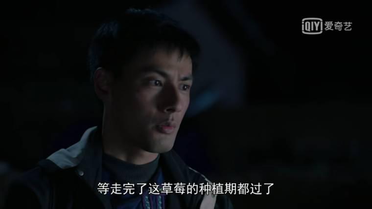 金色索玛花分集剧情介绍(1-24集)大结局_电视剧