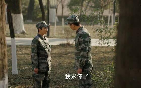 陆战之王分集剧情介绍(1-50集)大结局_电视剧