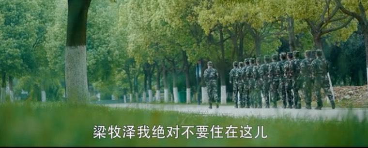 爱上特种兵分集剧情介绍(1-36集)大结局_电视剧