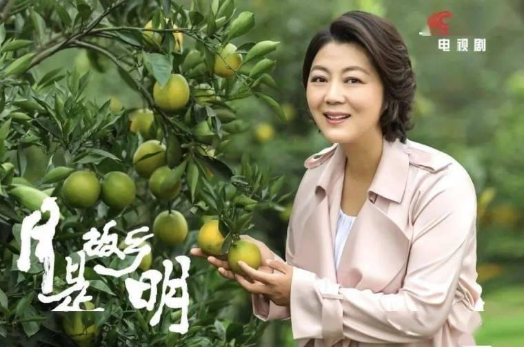 月是故乡明分集剧情介绍(1-34集)大结局_电视剧