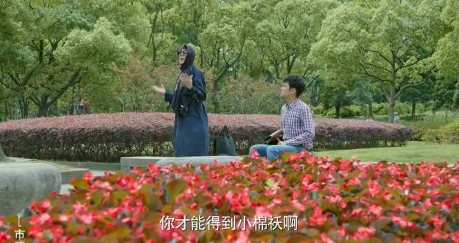 生活像阳光一样灿烂分集剧情介绍(1-40集)大结局_电视剧