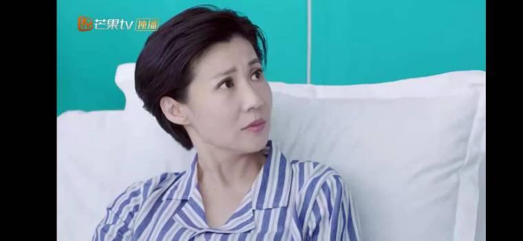 舒克与桃花分集剧情介绍(1-40集)大结局_电视剧