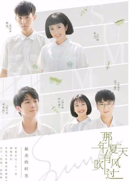 那年夏天有风吹过分集剧情介绍(1-27集)大结局_电视剧