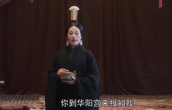 大秦赋之东出分集剧情介绍(1-78集)大结局_电视剧