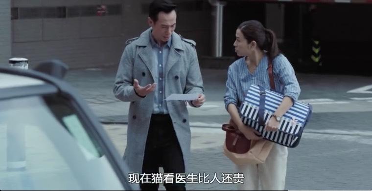 陀枪师姐2021分集剧情介绍(1-40集)大结局_电视剧