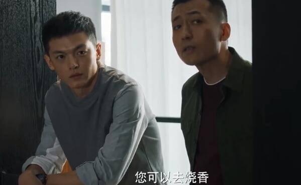 刑警之海外行动分集剧情介绍(1-38集)大结局_电视剧