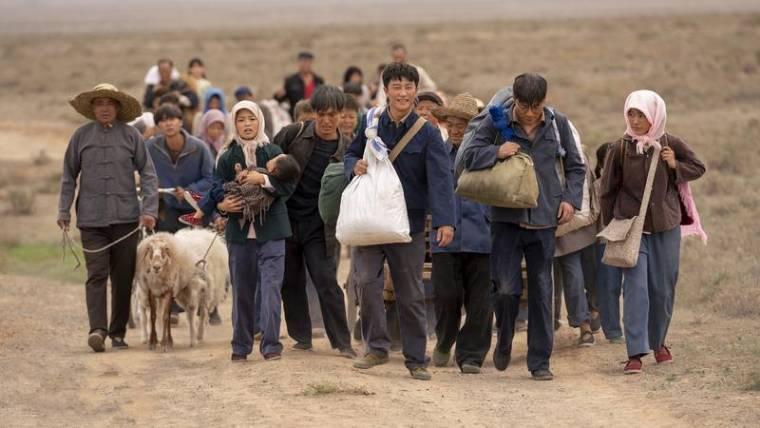 山海情分集剧情介绍(1-24集)大结局_电视剧