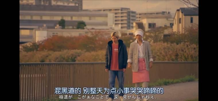 极主夫道分集剧情介绍(1-10集)大结局_电视剧